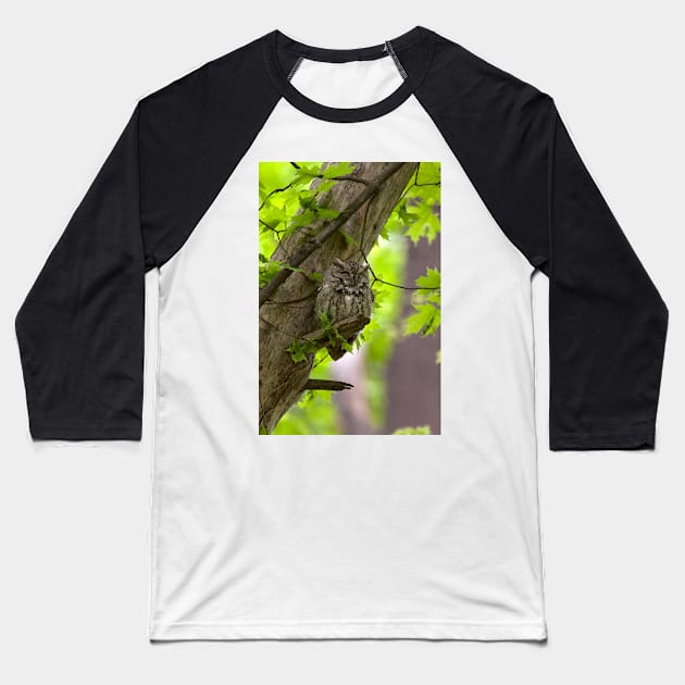 Eastern Screech Owl Baseball T-Shirt by Eunice1